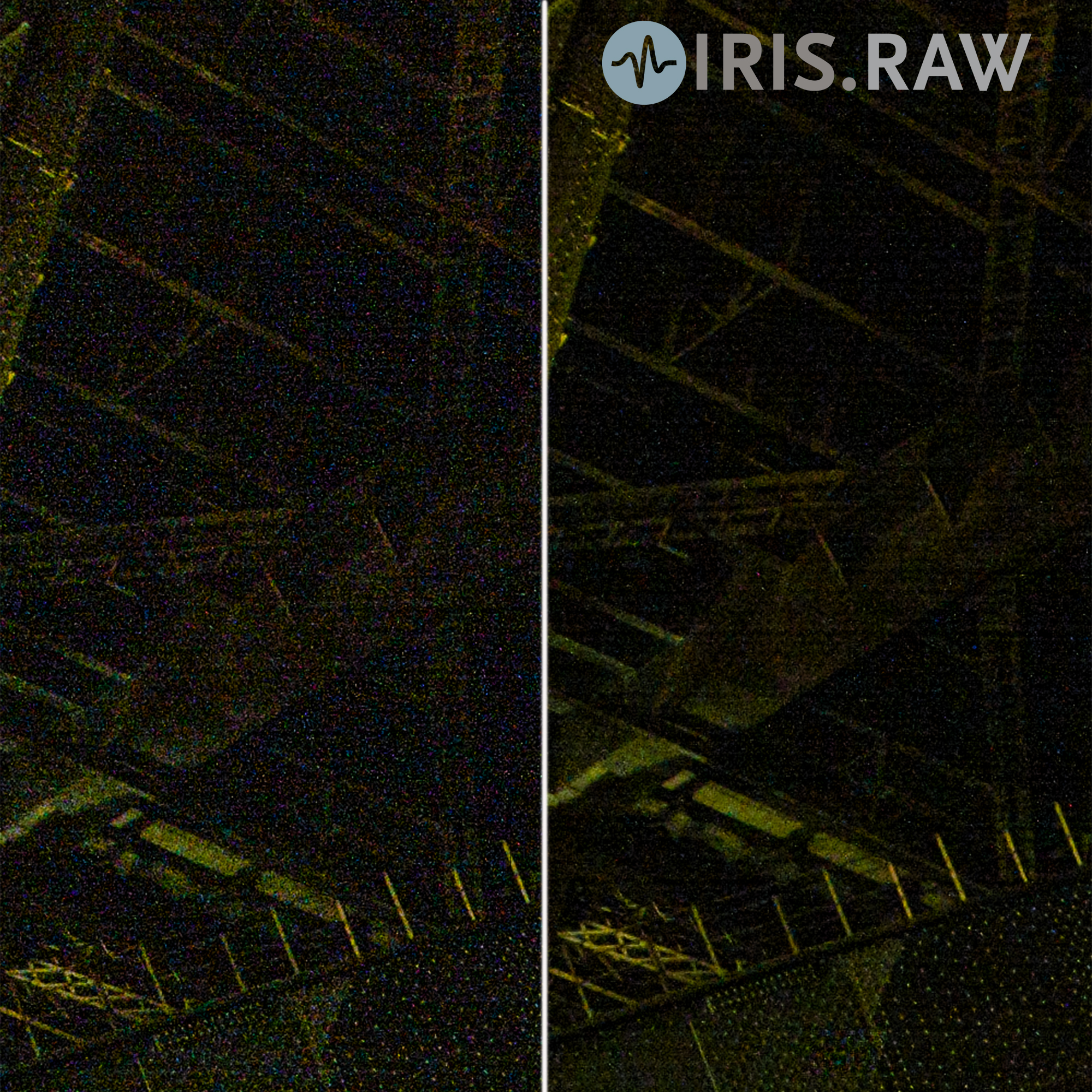 IRIS.RAW Video Denoising